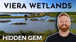Rich Grissom Memorial Wetlands AKA Viera Wetlands (sunset & sunrise are awesome here!)