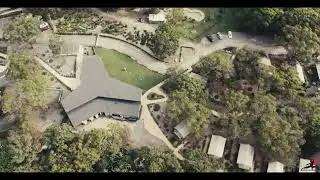 Port Stephens Koala Sanctuary