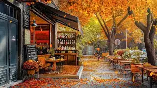 Soft Jazz at Fall Ambience - Reduce Stress with Morning Autumn Jazz Cafe Music & Falling Maple Leaf