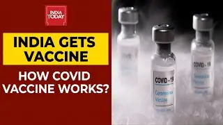 How Covishield, Covaxin & Pfizer's Covid Vaccine Work? | Coronavirus Update | India Today Exclusive