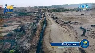 عيون ينبع النخل | كان معكم