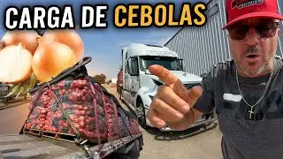 CARREGANDO CEBOLAS 🧅 TIVE QUE APERTAR A CARGA - NÃO PODE CHOVER 😱