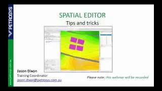 Petrosys PRO - Tips and Tricks in the Spatial Editor