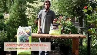 Mediterrane potgrond - informatie