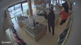 Colorado dog heist: 2 puppies stolen, 1 found as investigators need help locating suspects