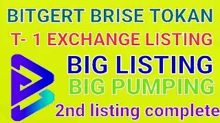 bitgert Brise Tokan Big listing T-1 big pump soon 💪 000 kill long Time #bitgert