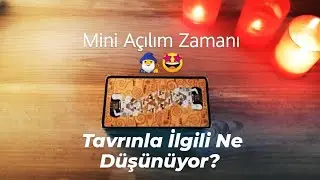 OBJE SEÇ: TAVRINLA İLGİLİ NE DÜŞÜNÜYOR? #desteseç #tarot