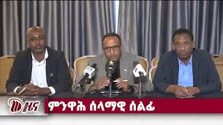 DW International ትግርኛ ዜና ሰዓት 12:30 ፣ 19 ታሕሳስ 2018 ዓ/ም\watch Live Streaming