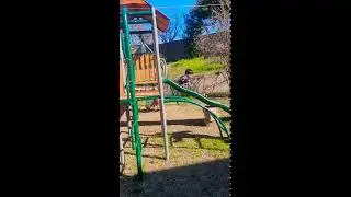 best play set from Walmart $1200