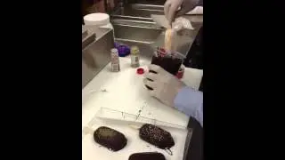 Making Popsicles by Blast Chilling & Shock Freezing