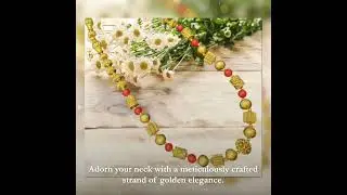 Explore the captivating assortment brought to you by Aisshpra!