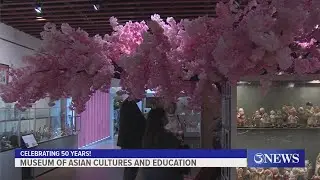 Museum of Asian Cultures and Education celebrating 50 years