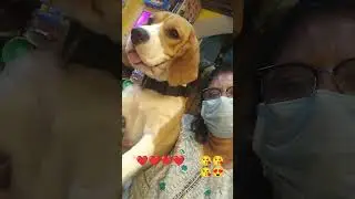 Nantri Solla Unakku