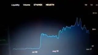 Black Fridays matter :  A WISE look at pros & cons of Hex after BigPayDay - into 2021