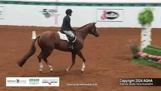 Amateur Hunter Hack - 2024 AQHA World Championship Show