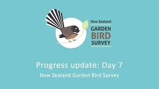 Progress update Day 7: NZ Garden Bird Survey