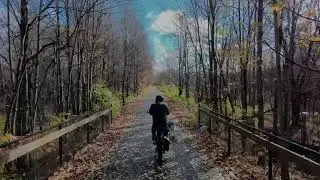  Exploring (a little of) Michigan's Iron Belle Trail... The Husky Way! #bikejoring #husky 
