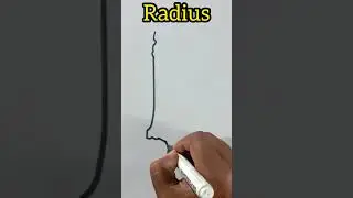 Anatomy drawing radius #shorts