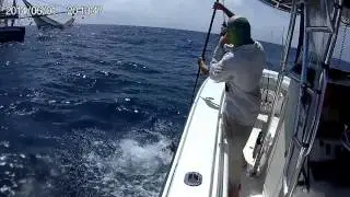 Offshore Fishing 75 miles off Freeport   08-05-15