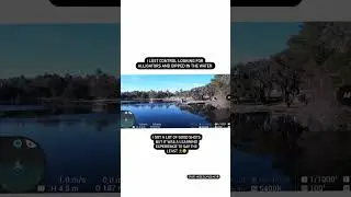 Almost crashed my drone in the water looking for alligators🐊   #dronecrash #droneview  #droneshots