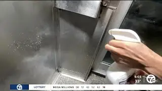 Rat infestation at Lafayette Coney Island impacting neighboring business