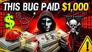 Easiest Bug Bounty Vulnerabilities That Paid $500&ndash;$1000 💰 | Beginner Friendly Bugs | #hackerinsight