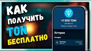 Заработок TON без вложений | Meta Racing - ГАЙД для НОВИЧКОВ