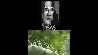 meme mr incre&iacute;ble perturbador#2
