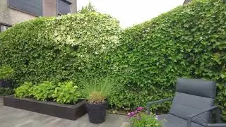 Tussenwoning in Brielle