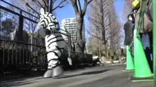 Japanese Zoo Security Drills: When Animals Escape