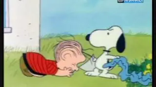 Charlie Brown- Cane dell'anno