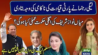 PMLN leader Explained The Reason for Party Leadership Failure | Nawaz Sharif's next strategy?