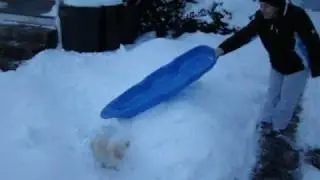 Chiquinha Primeira Neve