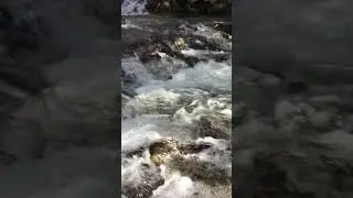 #shortsviral l SOOTHING CREEK l #nature  #adventure #travel #springtime #springseason #hiking