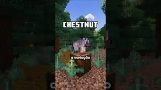 Onde encontrar cada varia&ccedil;&atilde;o de lobo no Minecraft.