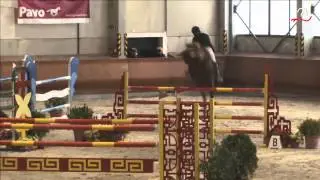 PEPEEUR DES EPINETTES GP 1,45m