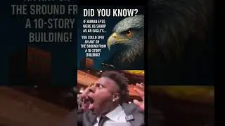 🦅 Eagle Vision is INSANE #EagleVision #FunFact #DidYouKnow #FactByMonk #NaturePower#UnbelievableFact