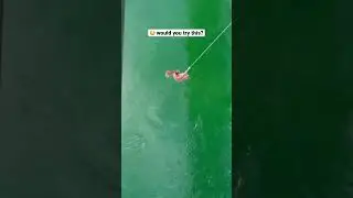 EPIC bridge rope swing! #bucketlist #cliffdiving #travel #shorts