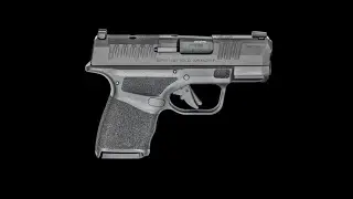 SPRING FIELD ARMORY HELLCAT 3