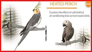 Quality product -  K&H PET PRODUCTS Thermo-Perch Heated Bird Perch Gray Small 1 X 10.5 Inches