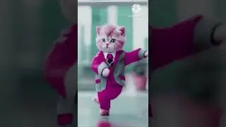 Sindhi song ai cat dance reels!!#ai #aicat #cat #aidance #dance #catlife #trending #dancing #kitten