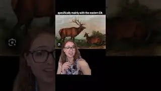 Eastern Elk and Merriam's Elk
