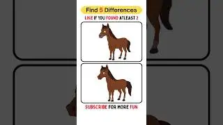 🔍Spot the Difference in horse 🐴 #quiz #funquiz #spotthedifference #fun