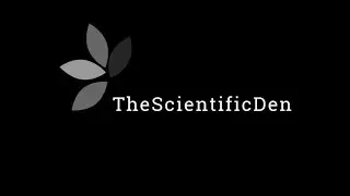 Decomposition of an octopus 🐙 | Time-lapse Decomposition | Natural Process