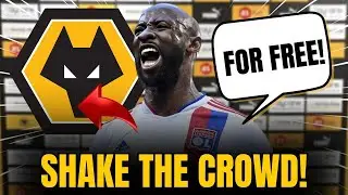 🚨|BREAKING NEWS| THE WANDERERS COMMENT! SHAKE THE WEB! LATEST WOLVES FC NEWS
