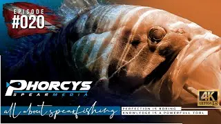 🐟 Phorcys Spearmedia #020 🌍 Proper weight distribution on boats 🎬 Smoking and sinus 🎥