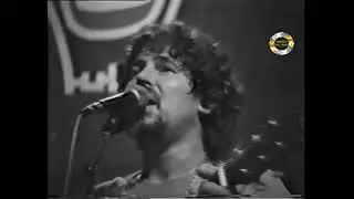 Compilatie The Cats Live
