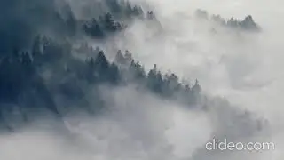 A Battle Before Defeat | #music  (Credits to Clideo.com and Onlinesequencer.net)