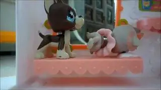 LPS || Love Story || Episode 8 Part 1