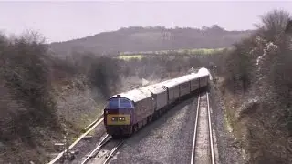 Chiltern Champion, D1015 Western Champion, 9 February 2014.